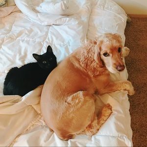 Meet your Posher, Jian